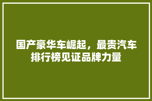 国产豪华车崛起，最贵汽车排行榜见证品牌力量