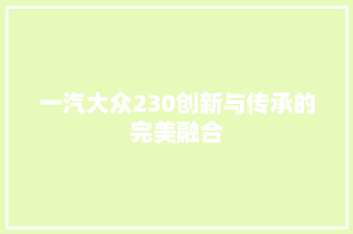 一汽大众230创新与传承的完美融合