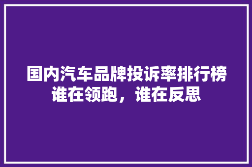 国内汽车品牌投诉率排行榜谁在领跑，谁在反思