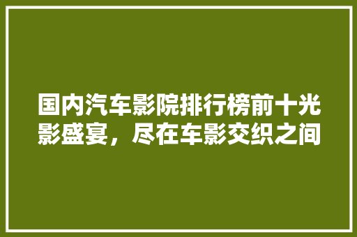 国内汽车影院排行榜前十光影盛宴，尽在车影交织之间