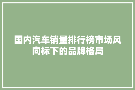 国内汽车销量排行榜市场风向标下的品牌格局