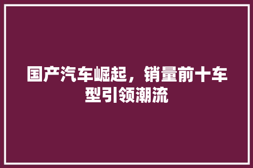 国产汽车崛起，销量前十车型引领潮流