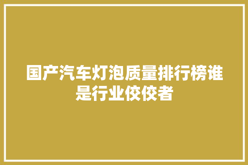 国产汽车灯泡质量排行榜谁是行业佼佼者