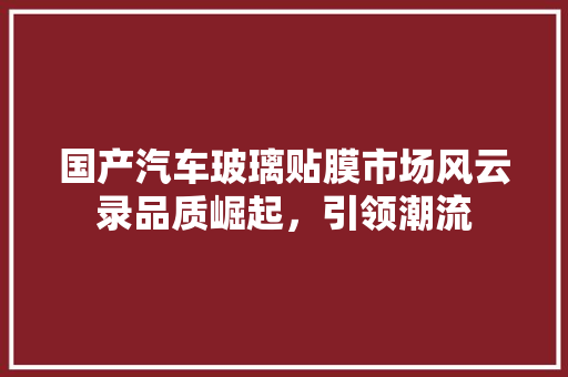 国产汽车玻璃贴膜市场风云录品质崛起，引领潮流