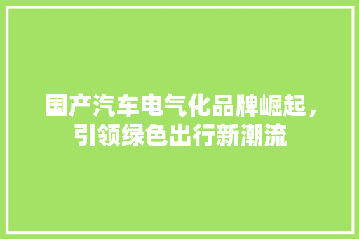 国产汽车电气化品牌崛起，引领绿色出行新潮流