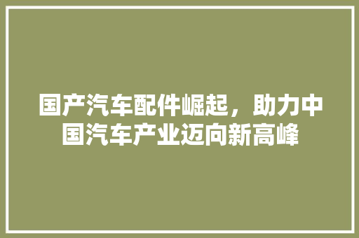 国产汽车配件崛起，助力中国汽车产业迈向新高峰