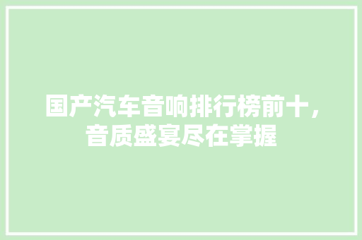 国产汽车音响排行榜前十，音质盛宴尽在掌握