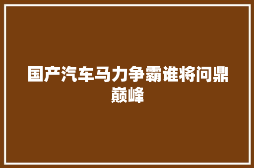 国产汽车马力争霸谁将问鼎巅峰