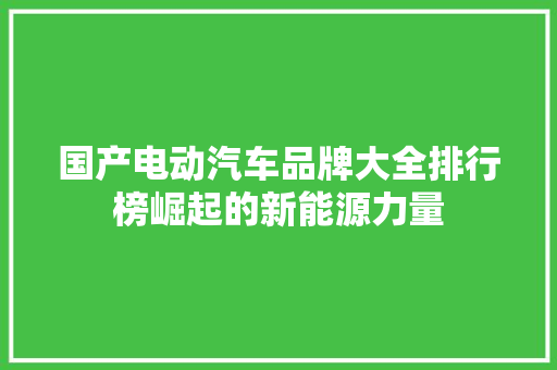 国产电动汽车品牌大全排行榜崛起的新能源力量