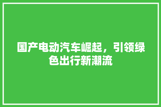 国产电动汽车崛起，引领绿色出行新潮流