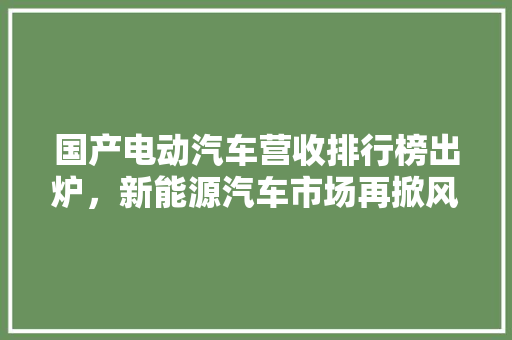 国产电动汽车营收排行榜出炉，新能源汽车市场再掀风云