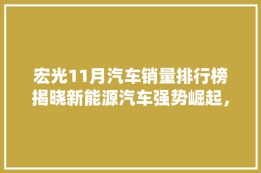 宏光11月汽车销量排行榜揭晓新能源汽车强势崛起，传统车企面临挑战
