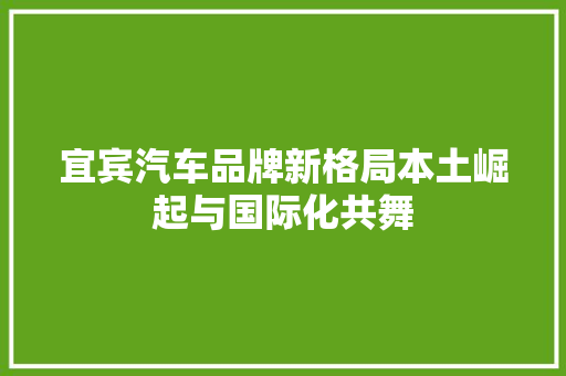 宜宾汽车品牌新格局本土崛起与国际化共舞