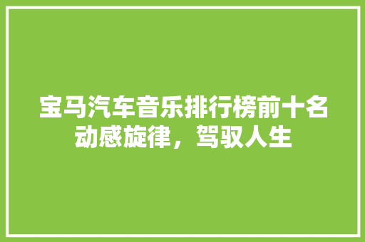 宝马汽车音乐排行榜前十名动感旋律，驾驭人生