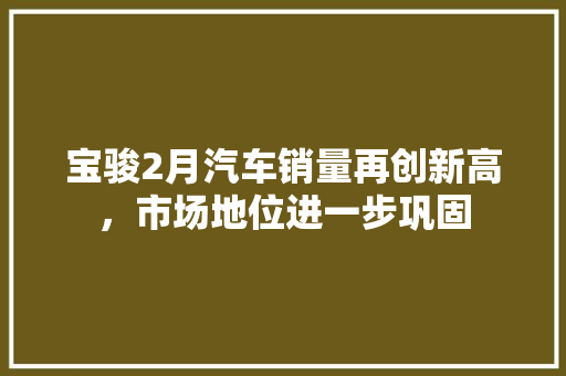 宝骏2月汽车销量再创新高，市场地位进一步巩固