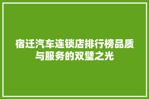 宿迁汽车连锁店排行榜品质与服务的双璧之光