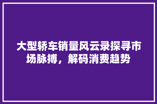 大型轿车销量风云录探寻市场脉搏，解码消费趋势