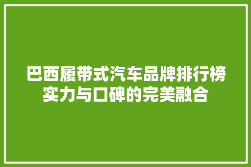 巴西履带式汽车品牌排行榜实力与口碑的完美融合