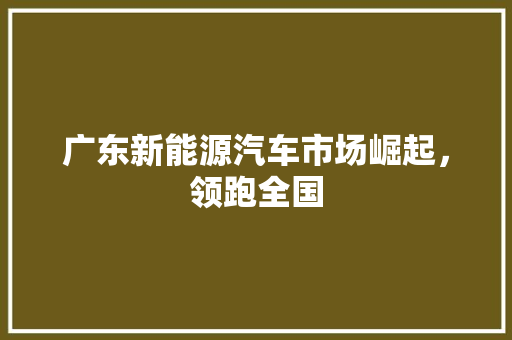 广东新能源汽车市场崛起，领跑全国