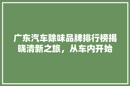 广东汽车除味品牌排行榜揭晓清新之旅，从车内开始