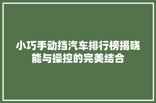 小巧手动挡汽车排行榜揭晓能与操控的完美结合