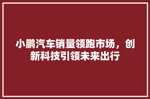 小鹏汽车销量领跑市场，创新科技引领未来出行