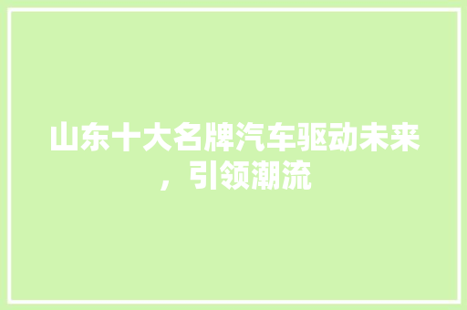 山东十大名牌汽车驱动未来，引领潮流