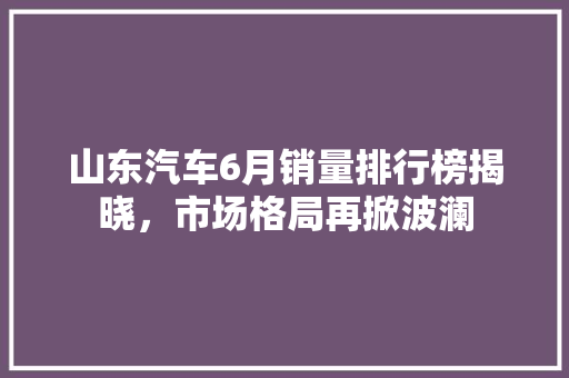 山东汽车6月销量排行榜揭晓，市场格局再掀波澜