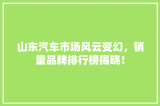 山东汽车市场风云变幻，销量品牌排行榜揭晓！
