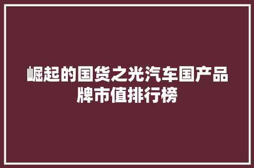 崛起的国货之光汽车国产品牌市值排行榜