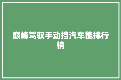 巅峰驾驭手动挡汽车能排行榜