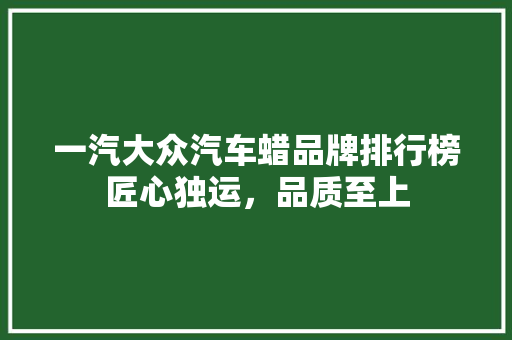 一汽大众汽车蜡品牌排行榜匠心独运，品质至上