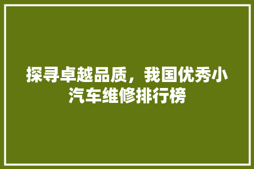 探寻卓越品质，我国优秀小汽车维修排行榜