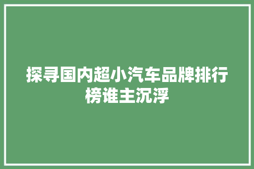 探寻国内超小汽车品牌排行榜谁主沉浮