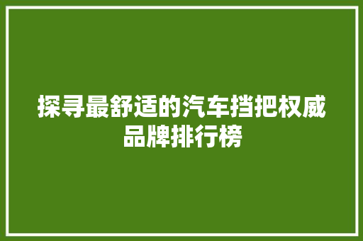 探寻最舒适的汽车挡把权威品牌排行榜