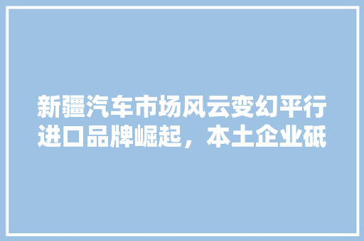 新疆汽车市场风云变幻平行进口品牌崛起，本土企业砥砺前行