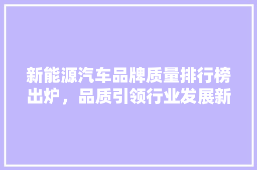 新能源汽车品牌质量排行榜出炉，品质引领行业发展新篇章