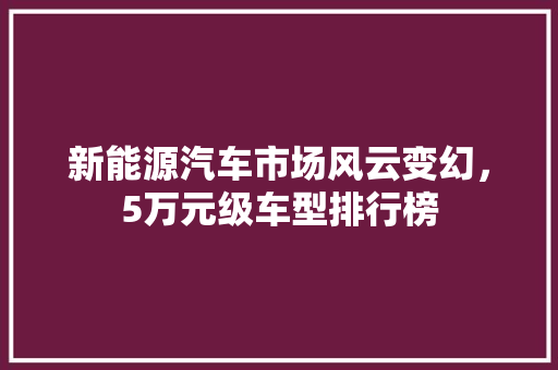 新能源汽车市场风云变幻，5万元级车型排行榜