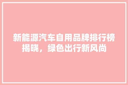新能源汽车自用品牌排行榜揭晓，绿色出行新风尚