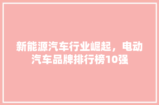 新能源汽车行业崛起，电动汽车品牌排行榜10强