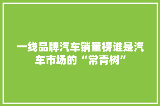 一线品牌汽车销量榜谁是汽车市场的“常青树”